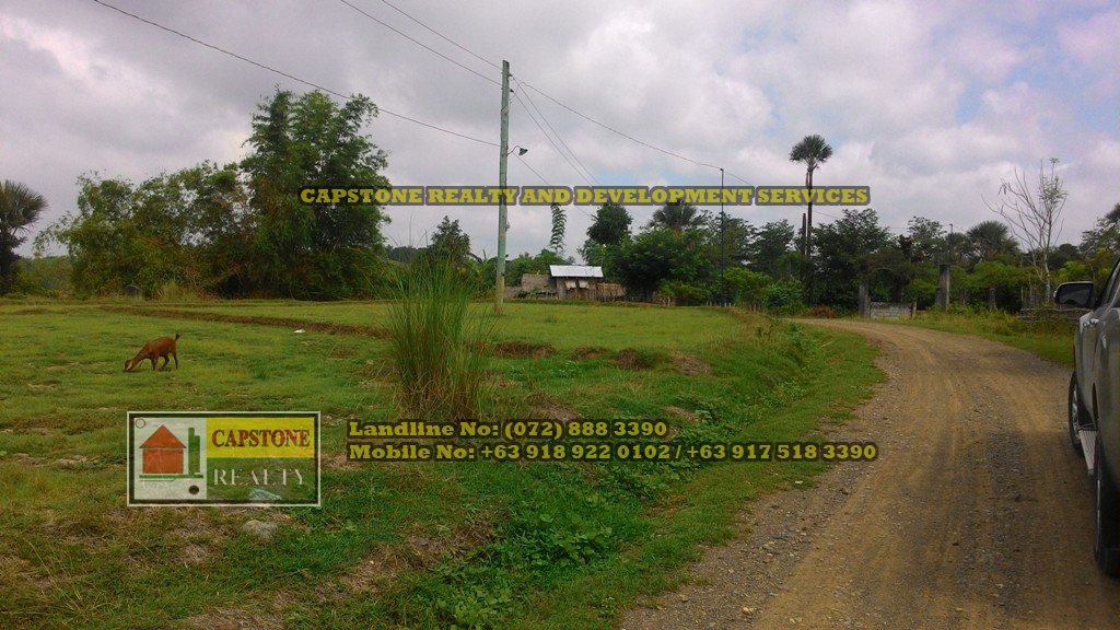 15.4 Hectares Lot For Sale, Nueva Ecija Capstone Realty Philippines
