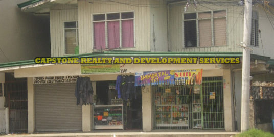 293 Sqm Commercial Property For Sale in San Fernando, La Union, Ilocos
