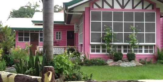 4,017 sq.m. Bauang La Union House and Lot For Sale with Gazebo