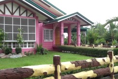 residential-house-for-sale-pink-house