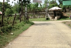 Farm Lot in San Fernando For Sale