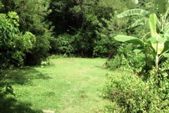 Farm Lot in San Fernando For Sale