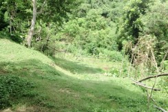 Farm Lot in San Fernando For Sale