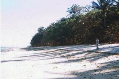 Saud-beach-lot-for-sale