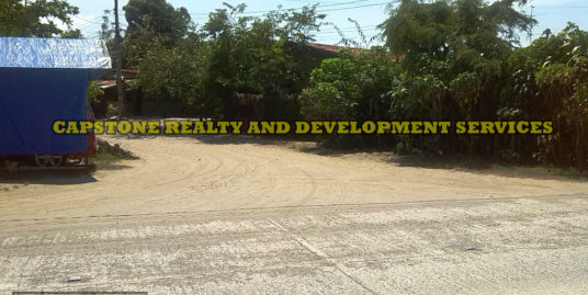 1,273 Sqm Residential Lot For Sale in San Fernando La Union