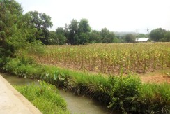 7.2hec-bangar-farmlot-forsale-philippines