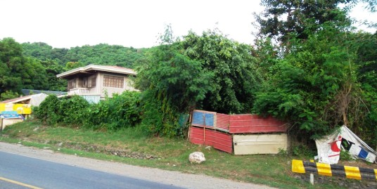 600 Sqm Lot For Sale in San Juan La Union