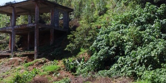 253 Sqm Bakakeng Baguio Residential Lot For Sale