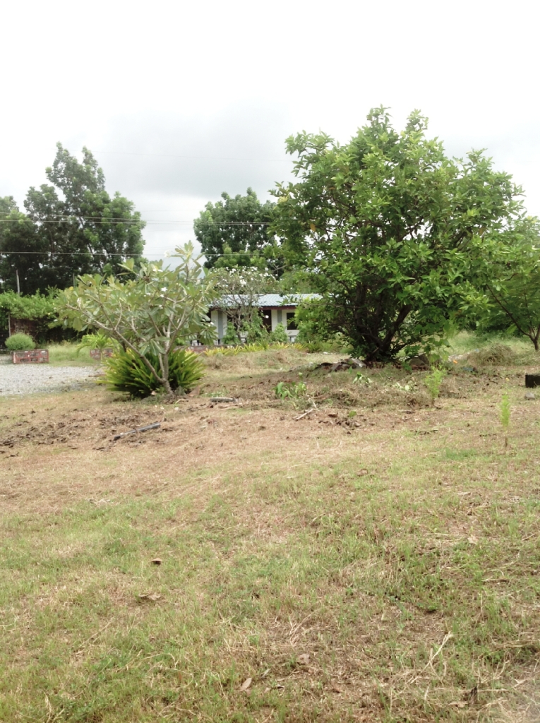 bacnotan-property-forsale-philippines (2)