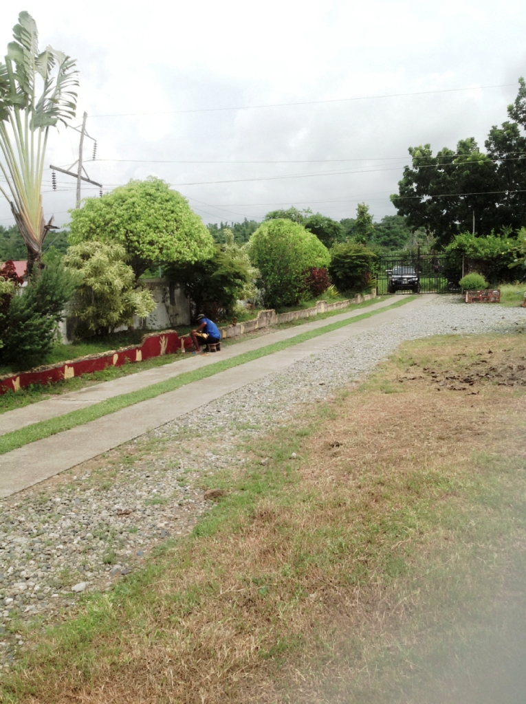 bacnotan-property-forsale-philippines (3)