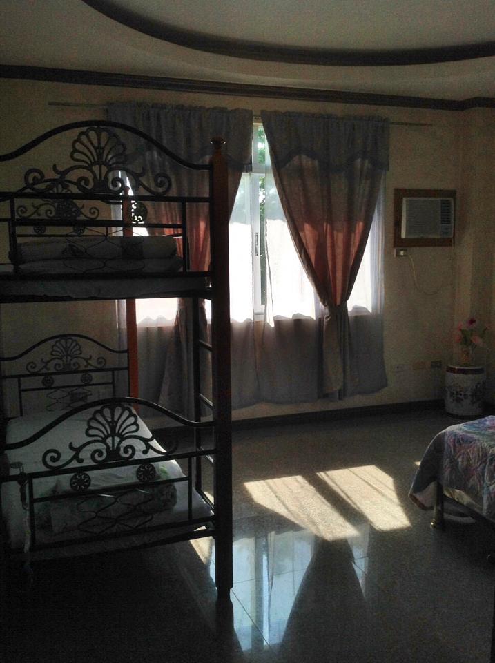 bauang-house&lot-for sale-650 sqm (2)
