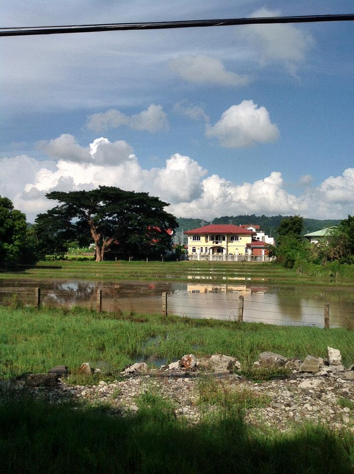 bauang-house&lot-for sale-650 sqm (3)