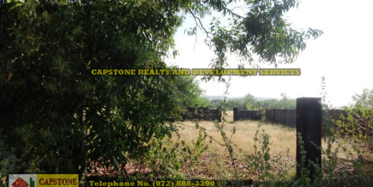 291 Sqm San Juan Residential Lot For Sale