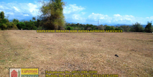 Titled Farm Lot For Sale in San Juan La Union, Ilocos