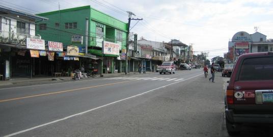 301 Sqm Bauang Commercial Bldg. For Sale