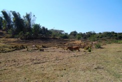 5,000 Sqm San Juan Farm Lot For Sale