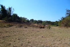 5,000 Sqm San Juan Farm Lot For Sale