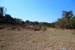 5,000 Sqm San Juan Farm Lot For Sale