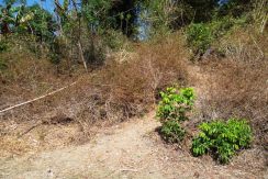 5,000 Sqm San Juan Farm Lot For Sale