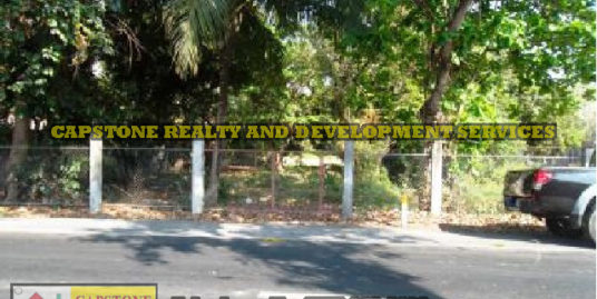 1 Hec Commercial Lot For Sale in Bacnotan La Union, Ilocos