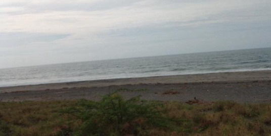 7,000 Sqm Bacnotan Beach Lot For Sale