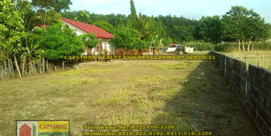 2,646 Sqm Beach Lot For Sale in Bauang La Union, Ilocos Philippines