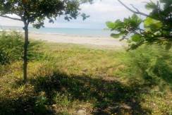 Bacnotan - Baroro - Beach Property For Sale - 1.6 Hec (16)