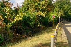 500 Sqm Along the Road Lot For Sale in San Juan La Union