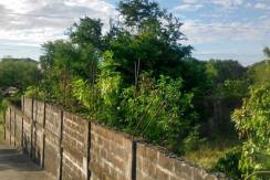 500 Sqm Along the Road Lot For Sale in San Juan La Union