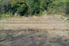 6 Hectares Farm Lot for Sale in La Union Philippines (Bauang)