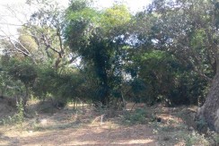 6 Hectares Farm Lot for Sale in La Union Philippines (Bauang)