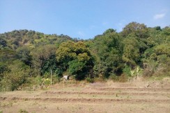 6 Hectares Farm Lot for Sale in La Union Philippines (Bauang)