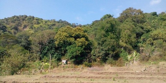 For Sale Farm Lot in La Union, Ilocos Philippines (Bauang) with 6 Hectares