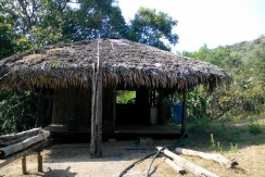 6 Hectares Farm Lot for Sale in La Union Philippines (Bauang)