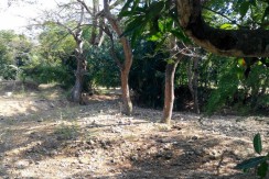 6 Hectares Farm Lot for Sale in La Union Philippines (Bauang)