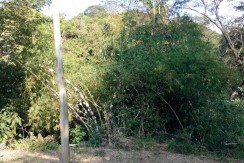 6 Hectares Farm Lot for Sale in La Union Philippines (Bauang)