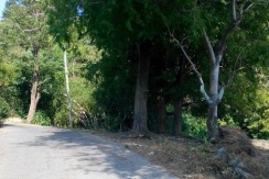 6 Hectares Farm Lot for Sale in La Union Philippines (Bauang)