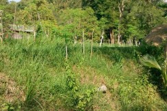 6 Hectares Farm Lot for Sale in La Union Philippines (Bauang)