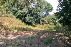 6 Hectares Farm Lot for Sale in La Union Philippines (Bauang)