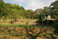 6 Hectares Farm Lot for Sale in La Union Philippines (Bauang)