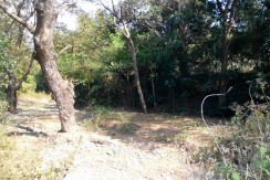 6 Hectares Farm Lot for Sale in La Union Philippines (Bauang)