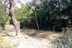 6 Hectares Farm Lot for Sale in La Union Philippines (Bauang)