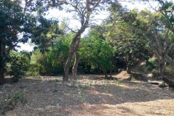 6 Hectares Farm Lot for Sale in La Union Philippines (Bauang)