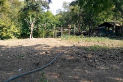 6 Hectares Farm Lot for Sale in La Union Philippines (Bauang)