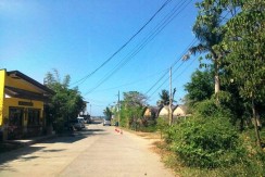 San Juan - Urbiztondo - Residential Lot For Sale - 1,051 Sqm (3)