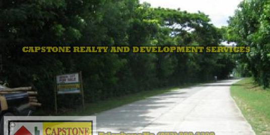 Beach Property for sale in Luna, Nalvo Sur, 1.1 Hec, Ilocos