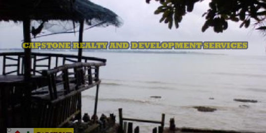1,042 Sqm Beach House and Lot property for sale in San Fernando La Union, Ilocos