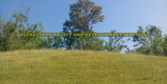 10 Hec Prime Lot For Sale in Sto Tomas La Union, Ilocos