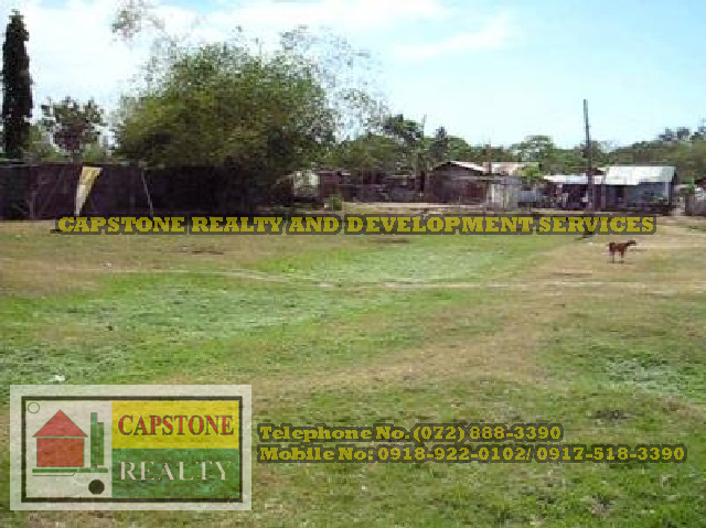Residential lot for sale 127 / 369 sqm in Bauang, Baccuit Norte