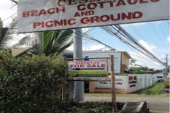 1.8 Hec., Beach lot for sale in Paringao Bauang La Union
